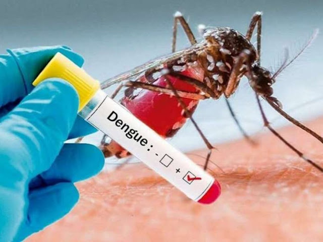 Dengue: quais são os sintomas, quando é hora de buscar um hospital e outras 6 dúvidas sobre a doença