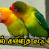 Love Kavithai Tamil Video #074 