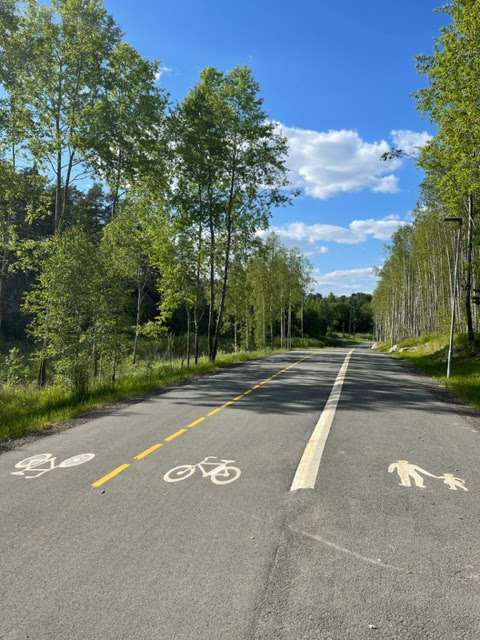 Fin asfaltert gang og sykkelvei med separate felter for gående og sykkelretning