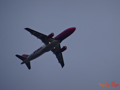 WizzAir