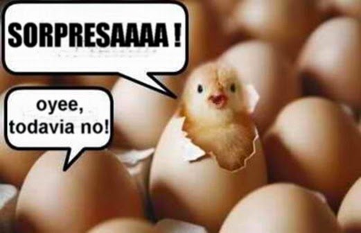 CHISTES DE ANIMALES - CHISTES DE POLLITOS vía http://fraseschistosos.blogspot.com/