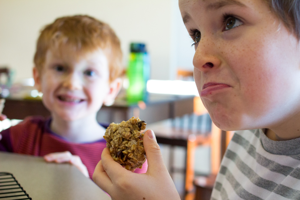 Dark Chocolate Walnut Coconut Cranberry Oatmeal Cookies