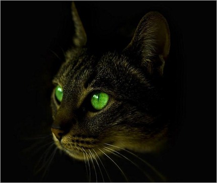 1292135711_green2-0 - copia