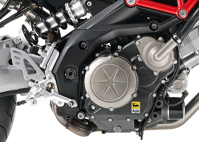 2010 Aprilia Shiver 750 Engine