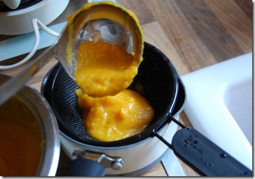 butternut soup 021
