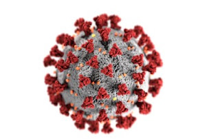  ما هو فيروس كورونا - كوفيد 19 "الجديد"؟
