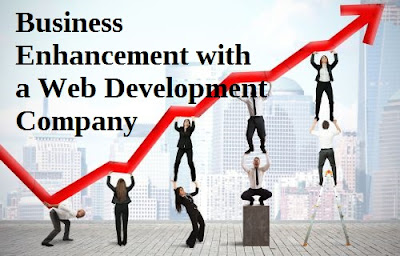 web development company in chandigarh