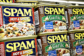 How To Reduce Spam Commenting On A Wordpress Blog