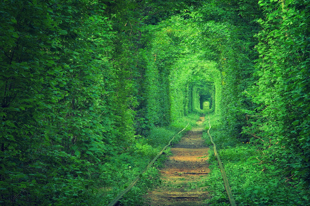 The Tunnel of Love, Ukraine