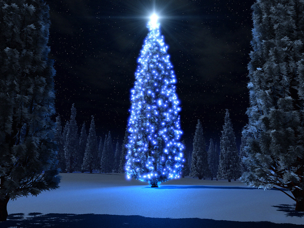 Christmass Tree wallpapers