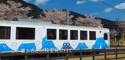 新倉山浅間公園の桜を見に富士吉田（山梨）へ