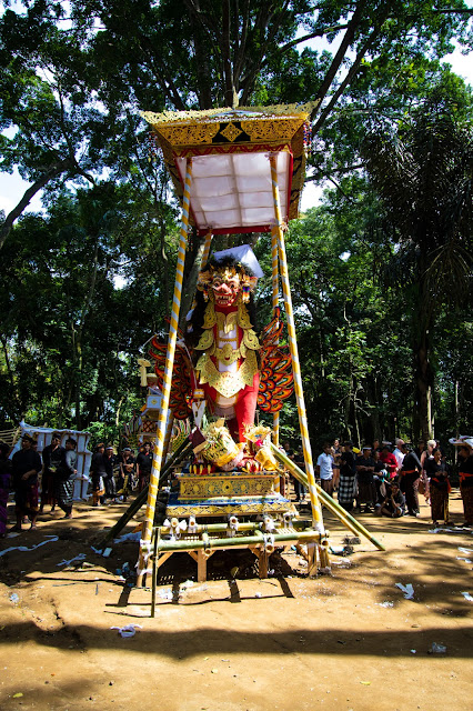 Cerimonia cremazione nella Monkey Forest, Ubud-Bali