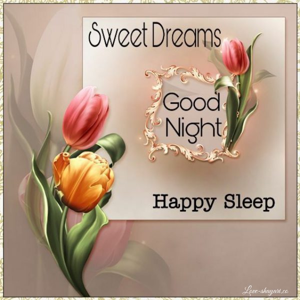 good night dear
