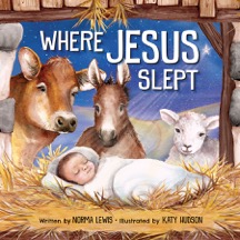 "Where Jesus Slept" review and giveaway (ends 11/21/16)