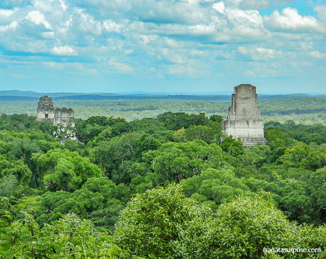 A cidade maia de Tikal vista do topo do Templo IV