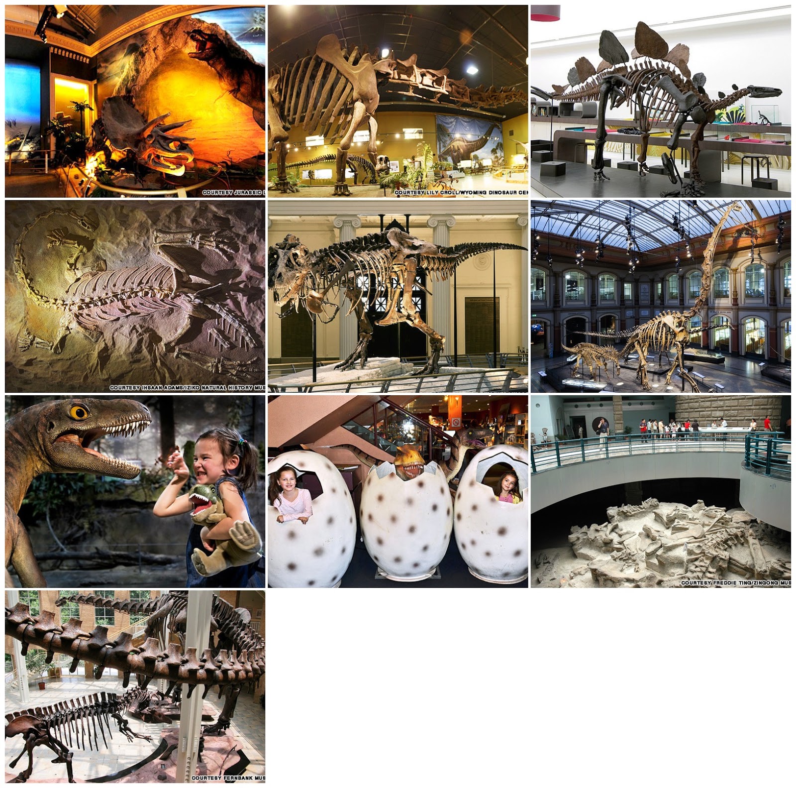 10 Museum Dinosaurus Paling Keren  di Dunia Loper Artikel
