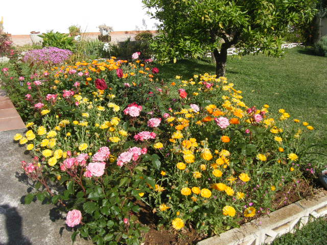 2011_04260001.JPG
