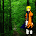 naruto hokage