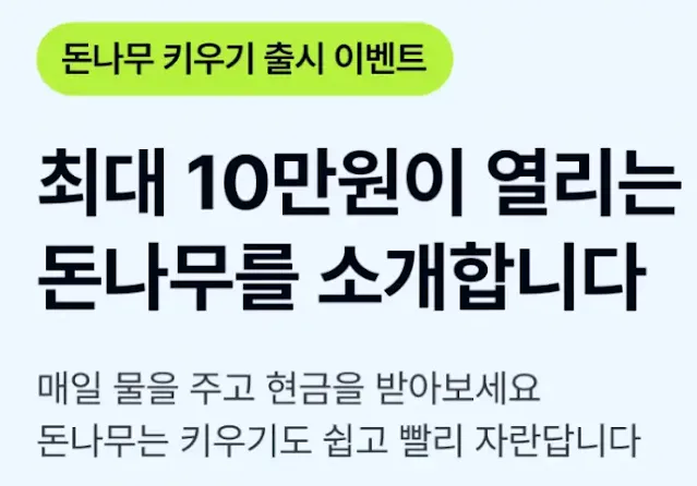 케이뱅크 돈나무