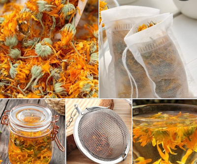 calendula herb for dogs and cats, skin soothing, healing