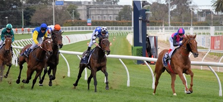 memsie stakes_finish 3