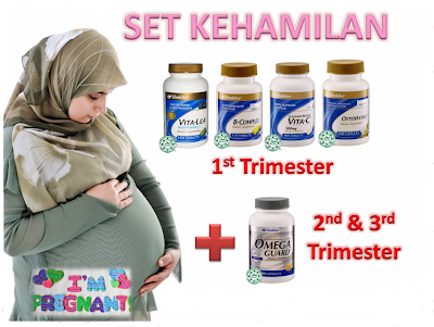 set kehamilan trimester 1, 2, 3