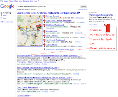  Local SEO (Local Search Engine Listing)