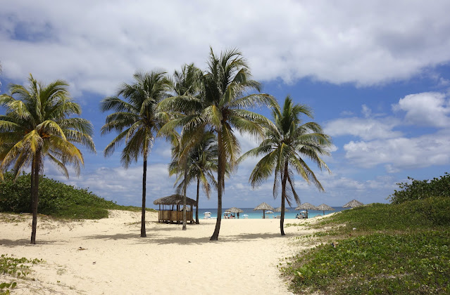 7 Most Beautiful Beaches in The World Playa Paraiso Beach, Cuba