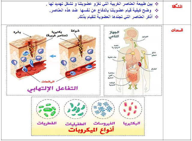 الوضعية الانطلاقية لمقطع الاستجابة المناعية مريخي الصادق