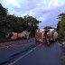 NESTA MADRUGADA DE SÁBADO,09 - Motorista morre em acidente com carreta na BR 153