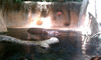 Lincoln Park Zoo