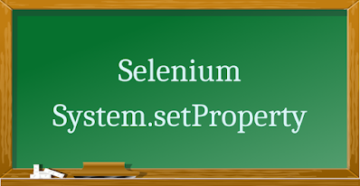 selenium System.setProperty