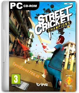 Street Cricket 2010 Game Free Download Full Version For PC