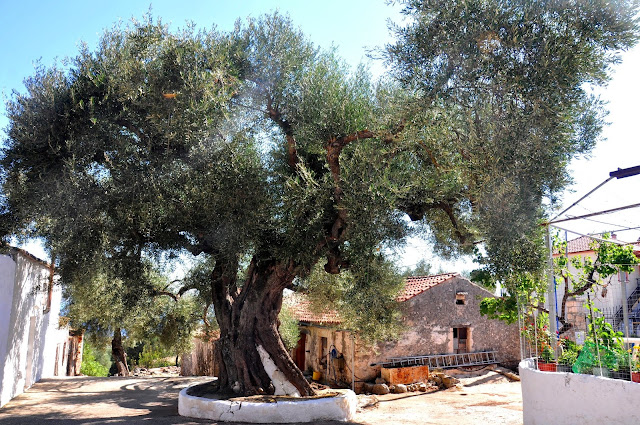 Największe atrakcje Zakynthos