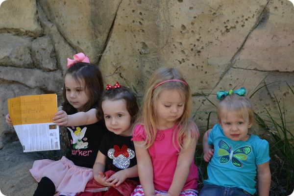 DSC_0775 DSC_0775