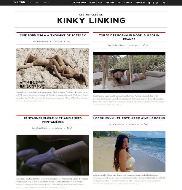 Le Tag Parfait - Articles de Kinky Linking (screen)