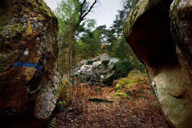 Stage Photo Fontainebleau