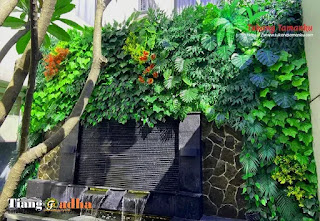 tukang taman pasar rebo dan jasa pembuatan taman di pasar rebo jakarta timur