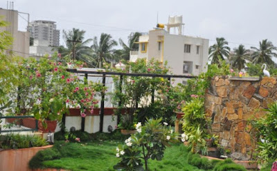 How You Can Create A Tiny Organic Farm at Home How You Can Create A Tiny Organic Farm at Home
