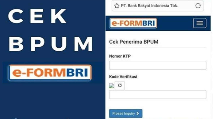 Eform bri.co.id/BUPM pakai KTP, Begini Cara Cek nya