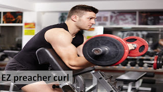 E Z preacher curl,5 best exercise for forearms