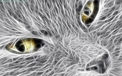 Cat 3D Standard Resolution Wallpaper