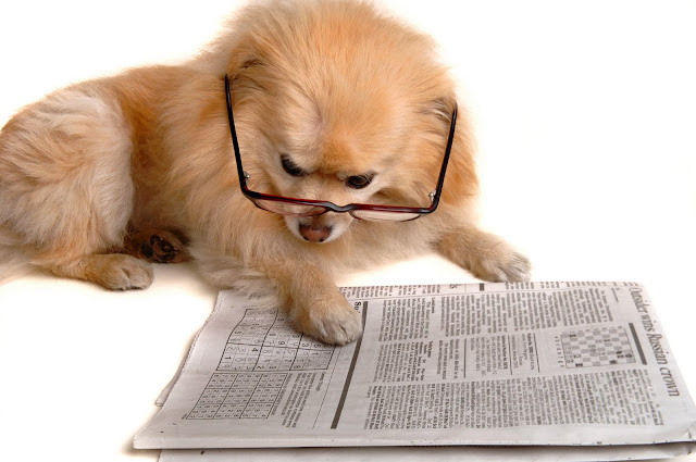 Dog Reading Newspaper Wallpaper