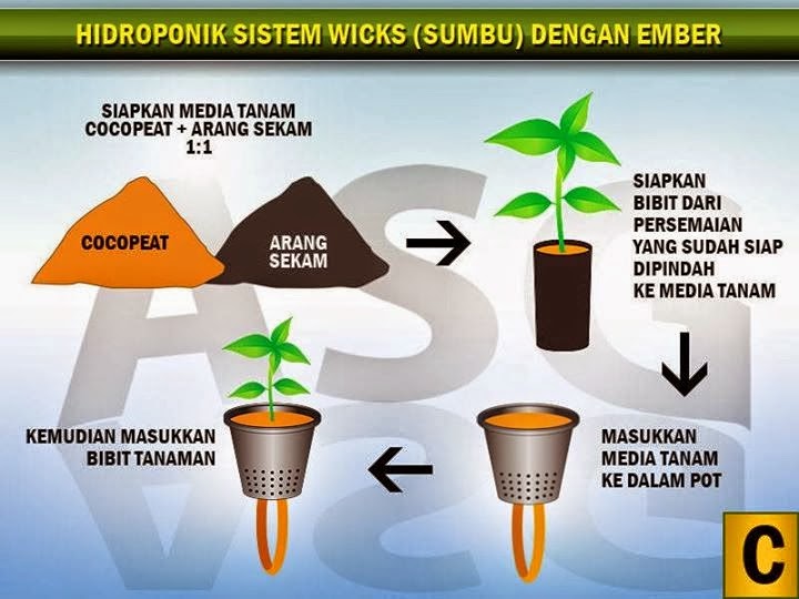 Media Tanam iHidroponiki iSistemi iWicki tanamanbaru