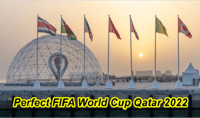 FIFA World Cup Qatar 2022: The perfect viewing experience