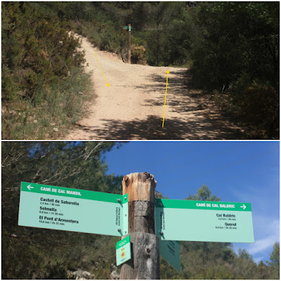 CASTELLS DEL GAIÀ SANTA PERPÈTUA DE GAIÀ-VALLESPINOSA-CASTELL DE SABURELLA-QUEROL, bifurcació entre el Camí de Vallespinosa a Saborella i el camí de Cal Mandíl