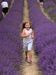 lordington lavender - dream1ncolour