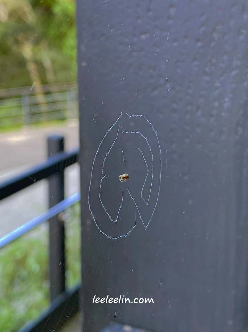 滿月圓國家森林遊樂區｜三峽森林芬多精景點~再訪發現園區變得煥然一新