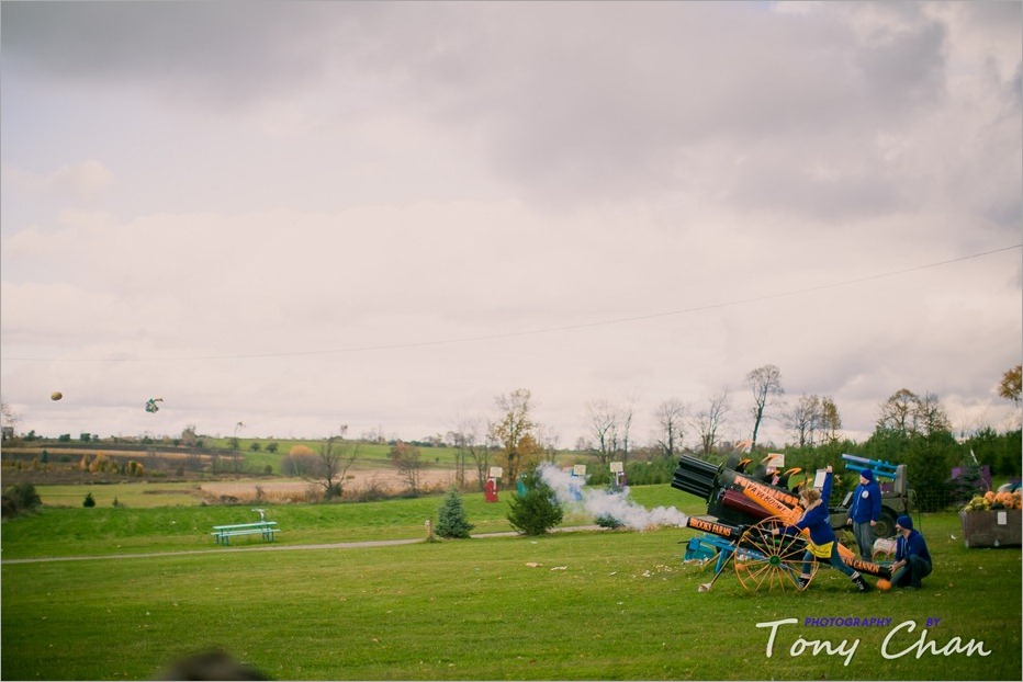 IMG_20121020112242