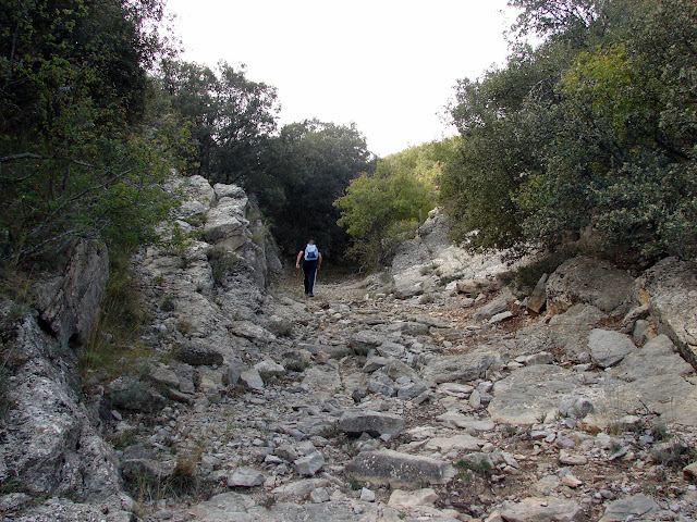 senderismo Cinctorres Creu del Xelat Barran Barcella PR-CV 308